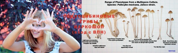 дистиллят марихуана Абинск